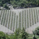 Hafenblick Neumagen-Dhron